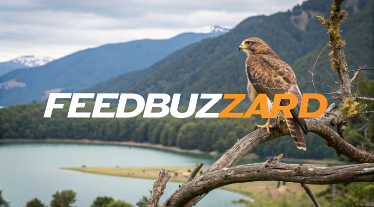feedbuzzard advertise