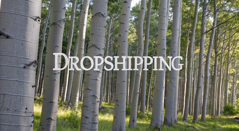 gray poplar dropshipping