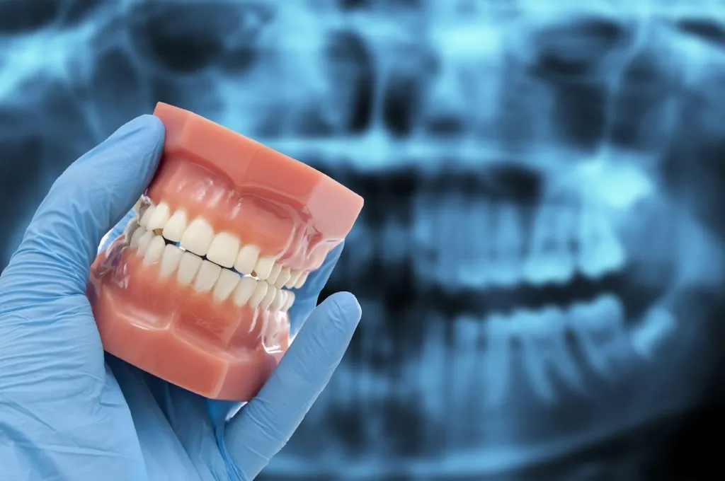 What Precautions Should Be Taken Before Teeth X-Ray