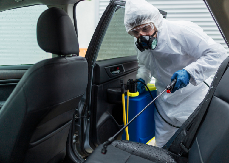 5 Best Service Providers in Australia for Long-Term Mould Prevention